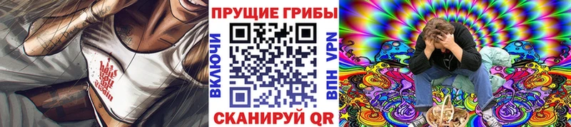 Купить закладки  Маркс  Псилоцибиновые грибы Psilocybine cubensis 